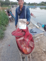 Mồi câu xuân lượng