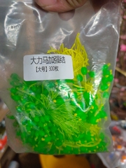 Dù buộc đầu cần