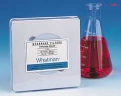 Màng lọc Cellulose acetate (OE67) 0.45µm, 47mm, 50mm Whatman
