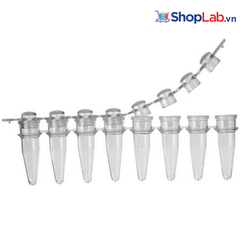 Tuýp PCR 0.2ml, 8-strip, nắp bằng, Biologix (125 cái/Hộp)
