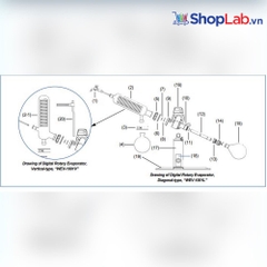 Vòng bịt chân không kín PTFE Φ52×5.2mm DH.Ev1001.A08 DaiHan