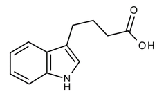 Indole-3-butyric acid LAB 100g