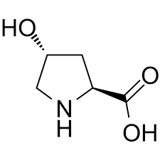 L;hydroxyproline for biochemistry , Merck- Đức (100g/Chai)