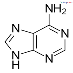 Adenine 25g Kanto-Nhật