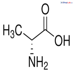 D-Alanine 1g Kanto-Nhật