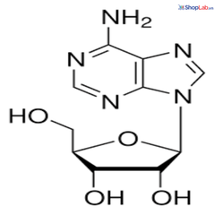 Adenosine 5g Kanto-Nhật