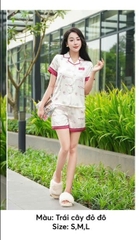 Bộ Sun Fly Lụa pizama quần đùi  ,st9267