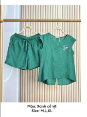 Bộ sun fly LINEN,áo tay chờm  ,quần đùi- ST9166
