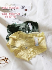 Quần chip 29566