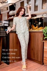 Bộ SWEET tơ đũi  QD cổ sen tròn  F22-202