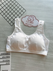 áo bra học sinh 5890