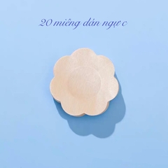 Miếng dán nhũ hoa vải túi 20 miếng 1905
