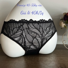 Quần chip ren 242