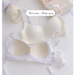 sét bra cotton đệm liền 3234