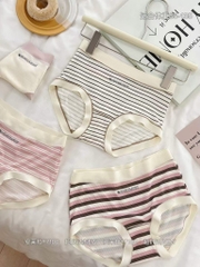 Quần lót cotton 7100