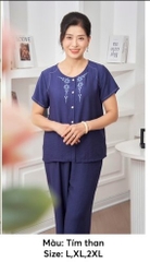 Bộ linen áo cộc quần dài sp2168
