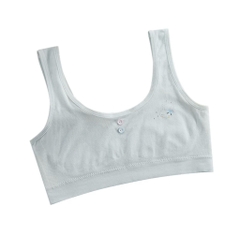 Bra học sinh 22027