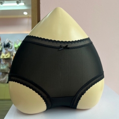 Quần chip lụa băng 2991