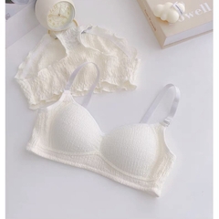 sét bra cotton đệm liền 3234