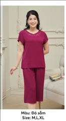Bộ Lanh thái áo cộc quần sớ -SP2177