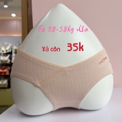 Quần chip cotton 531