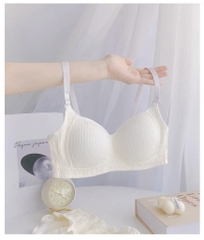 sét bra cotton đệm liền 3234
