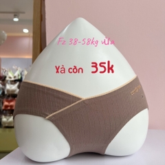 Quần chip cotton 531