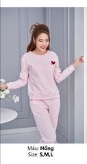 Bộ sun fly, NỈ,  QD. ST9106