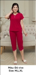 Bộ cotton áo cộc quần ngố-sp2176