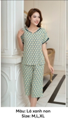 Bộ Sunfly lanh lụa áo cộc q.ngố SP2187
