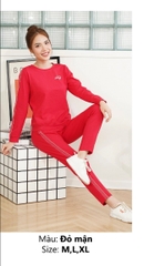 Bộ sun fly cotton thu đông SS5722