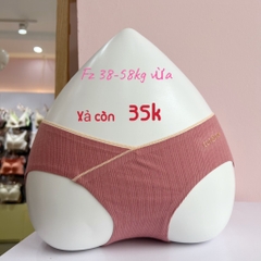 Quần chip cotton 531