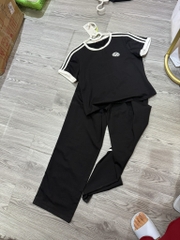 Bộ Sun fly THỂ THAO COTTON - QD -SFB3085