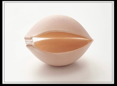 Bra dán đệm dầy 5cm 531