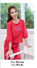 Bộ sun fly cotton thu đông tay lỡ  ST9076