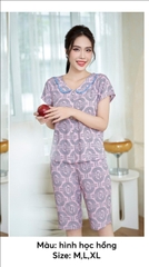 Bộ sun fly lanh lụa ,áotay cộc ,QL -ST9187
