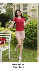 Bộ Sun Fly cotton Q soóc thô kẻ   -ST9263