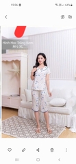 Bộ lanh HT  , áotay cộc ,  Q N ST9383
