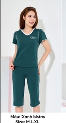Bộ cotton áo cộc quần ngố-ss 5754