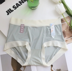 Quần chip lụa băng 29926