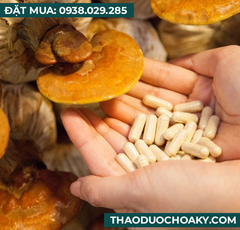 Viên nang Nấm linh chi