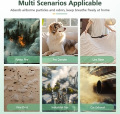 Bộ Lọc 5-in-1 HEPA AEOCKY Pandora – Lọc Bụi Mịn PM2.5, Khử Mùi VOC, Thay Thế Chính Hãng