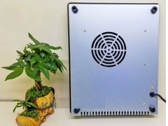 Bếp từ đơn Fandi FD-119 MI