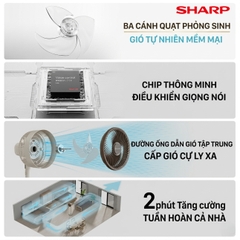 Quạt Cây Đối Lưu Đa Năng Sharp PJ-CD300A – Làm Mát Diện Rộng, Tiết Kiệm Điện Và Linh Hoạt Cho Mọi Không Gian