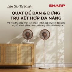 Quạt Cây Đối Lưu Đa Năng Sharp PJ-CD300A – Làm Mát Diện Rộng, Tiết Kiệm Điện Và Linh Hoạt Cho Mọi Không Gian
