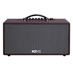 Loa Karaoke Di Động Acnos CS391 Công Suất 100W Chính Hãng Phân Phối