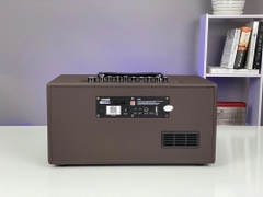 Loa Karaoke Di Động Acnos CS391 Công Suất 100W Chính Hãng Phân Phối