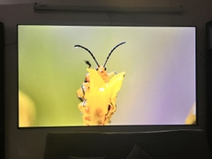 MÀN CHIẾU 100INCH TƯƠNG PHẢN CAO 16:9 KHUNG FIX FRAME