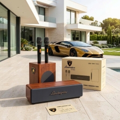 Loa Karaoke AI Lamborghini TOPI M9 60W, 2 Micro Không Dây, Android, Bluetooth, Loa Karaoke Mini Di Động