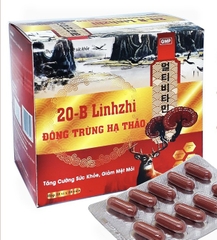 20B LINH CHI ĐÔNG TRÙNG HẠ THẢO